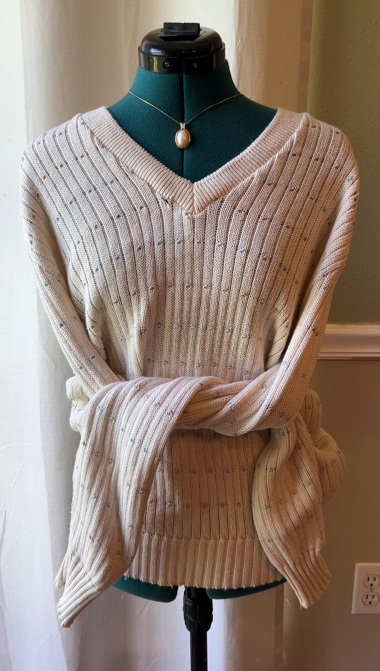 Vintage V-Neck Cream/Cerulean Blue/Tan Grandma Sweater Cottage Academia Preppy